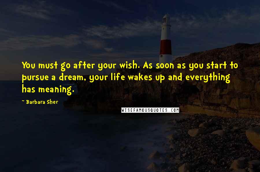 Barbara Sher quotes: You must go after your wish. As soon as you start to pursue a dream, your life wakes up and everything has meaning.