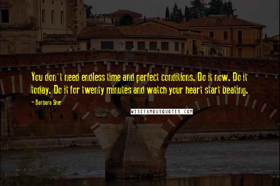 Barbara Sher quotes: You don't need endless time and perfect conditions. Do it now. Do it today. Do it for twenty minutes and watch your heart start beating.