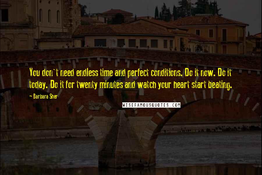 Barbara Sher quotes: You don't need endless time and perfect conditions. Do it now. Do it today. Do it for twenty minutes and watch your heart start beating. Barbara Sher quotes: You don't need endless time and perfect conditions. Do it now. Do it today. Do it for twenty minutes and watch your heart start beating.