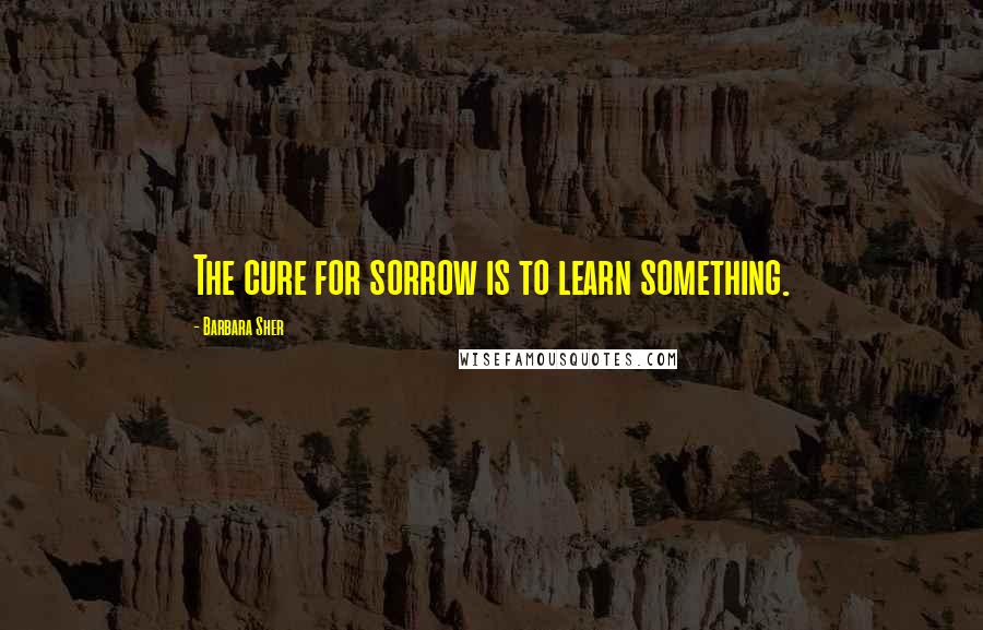 Barbara Sher quotes: The cure for sorrow is to learn something.