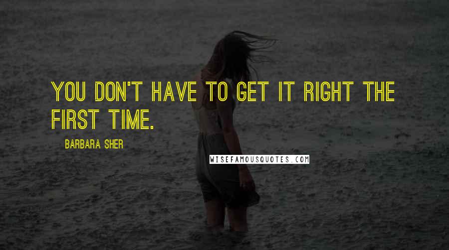 Barbara Sher quotes: You don't have to get it right the first time.