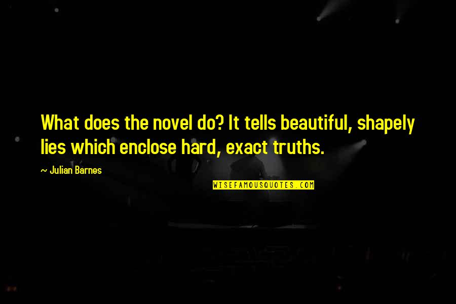 Barbara Ucsb Gold Quotes By Julian Barnes: What does the novel do? It tells beautiful,