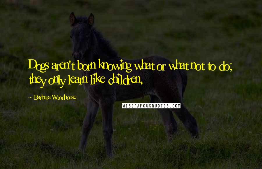 Barbara Woodhouse quotes: Dogs aren't born knowing what or what not to do; they only learn like children.