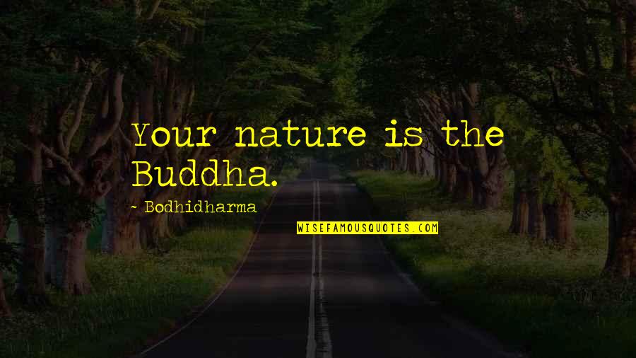 Barbayanni Ka Quotes By Bodhidharma: Your nature is the Buddha. Barbayanni Ka Quotes By Bodhidharma: Your nature is the Buddha.
