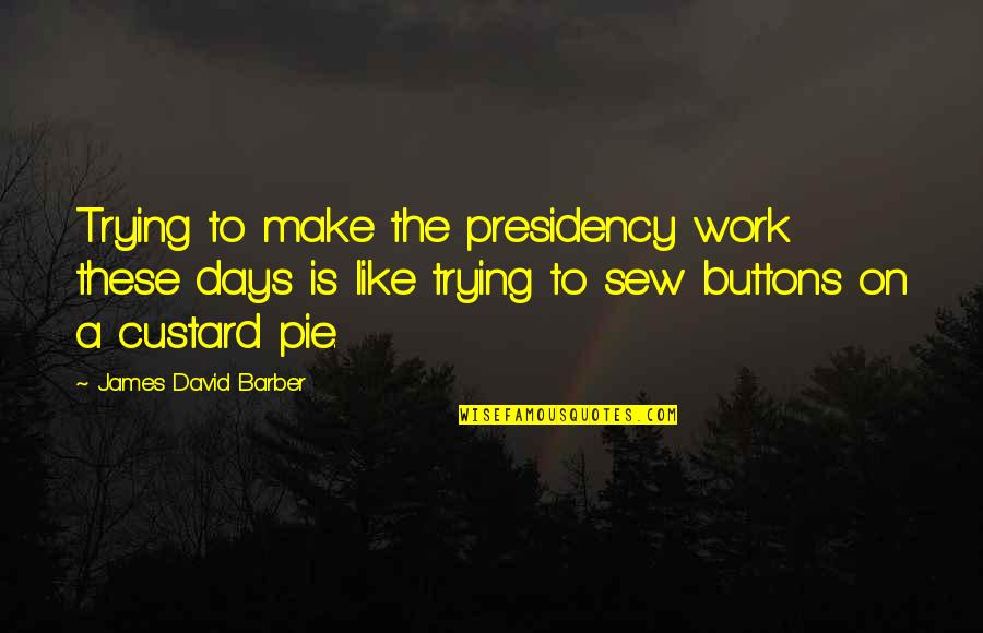 Barber Quotes By James David Barber: Trying to make the presidency work these days