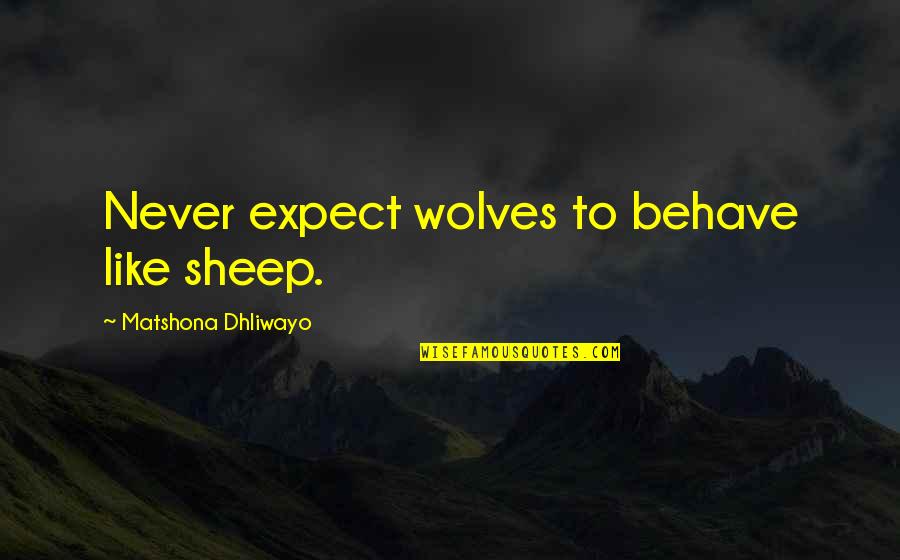 Barberie Brewery Quotes By Matshona Dhliwayo: Never expect wolves to behave like sheep.