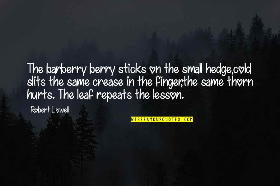 Barberry Quotes By Robert Lowell: The barberry berry sticks on the small hedge,cold