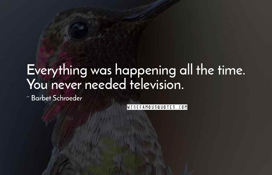 Barbet Schroeder quotes: Everything was happening all the time. You never needed television.