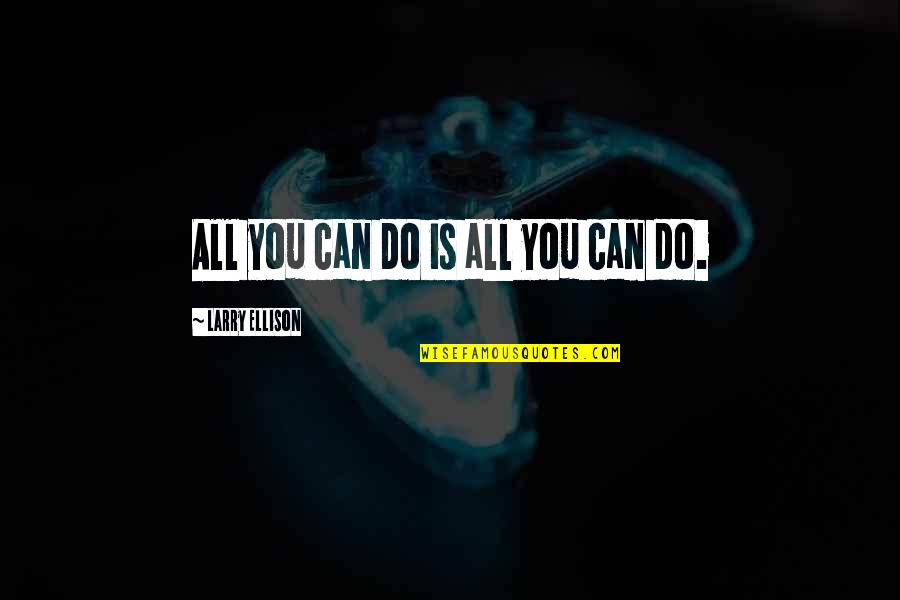 Barbieri Law Quotes By Larry Ellison: All you can do is all you can