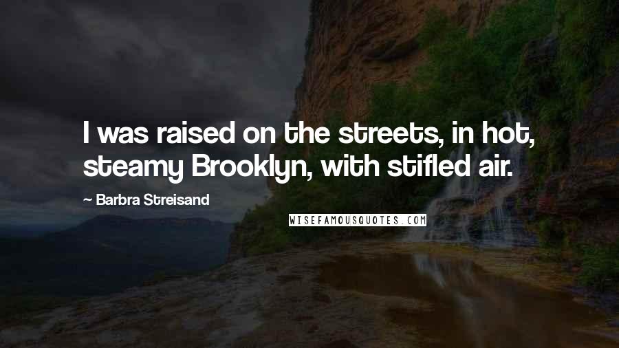 Barbra Streisand quotes: I was raised on the streets, in hot, steamy Brooklyn, with stifled air.