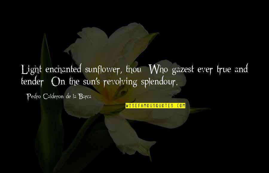 Barca's Quotes By Pedro Calderon De La Barca: Light-enchanted sunflower, thou Who gazest ever true and