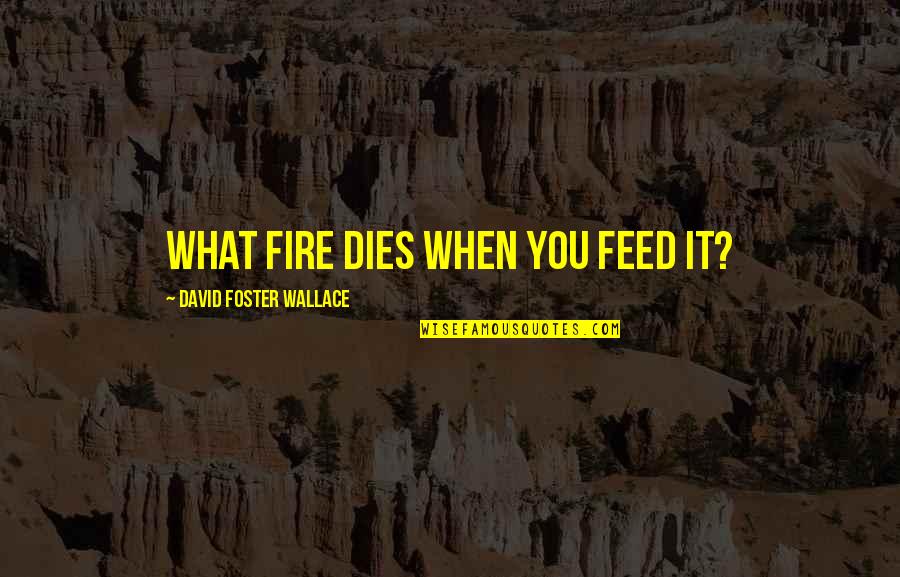 Barcelona Football Club Quotes By David Foster Wallace: What fire dies when you feed it?