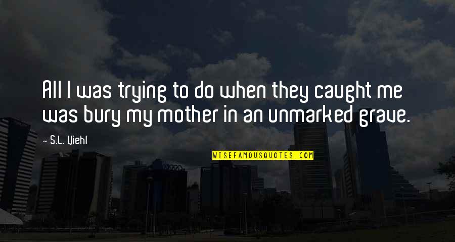 Bardakjian Quotes By S.L. Viehl: All I was trying to do when they