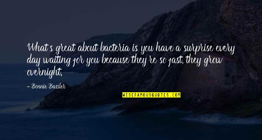 Bardellini Cookies Quotes By Bonnie Bassler: What's great about bacteria is you have a Bardellini Cookies Quotes By Bonnie Bassler: What's great about bacteria is you have a