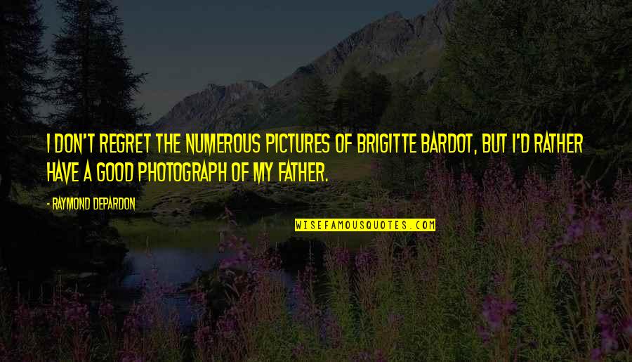 Bardot Quotes By Raymond Depardon: I don't regret the numerous pictures of Brigitte