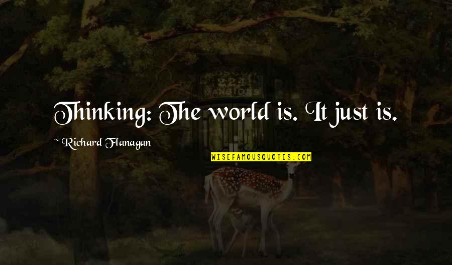 Bareckrt Quotes By Richard Flanagan: Thinking: The world is. It just is.