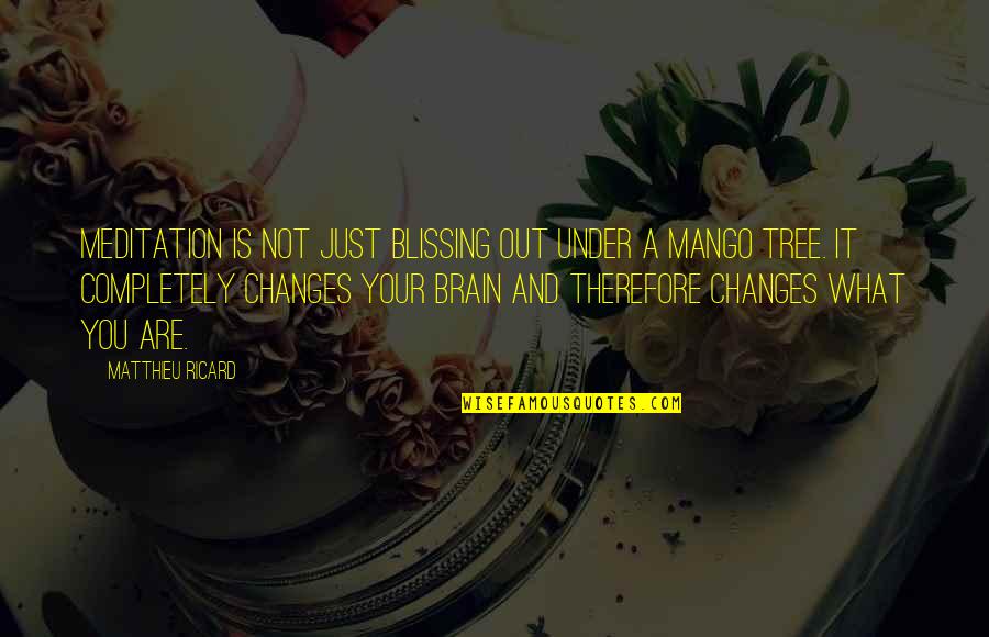 Barello Winery Quotes By Matthieu Ricard: Meditation is not just blissing out under a Barello Winery Quotes By Matthieu Ricard: Meditation is not just blissing out under a