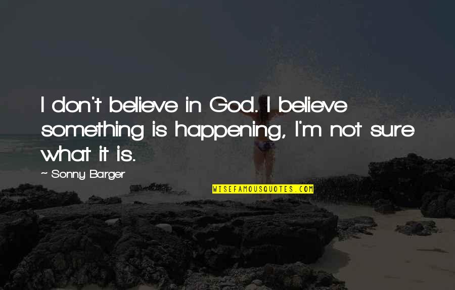 Barger Quotes By Sonny Barger: I don't believe in God. I believe something