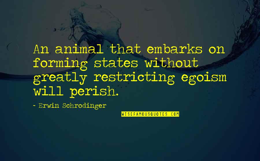 Barhoumi Assil Quotes By Erwin Schrodinger: An animal that embarks on forming states without