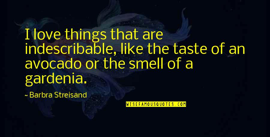 Barilla Pasta Quotes By Barbra Streisand: I love things that are indescribable, like the