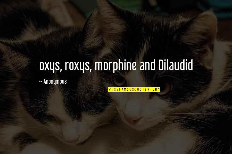 Barkers Hudson Quotes By Anonymous: oxys, roxys, morphine and Dilaudid