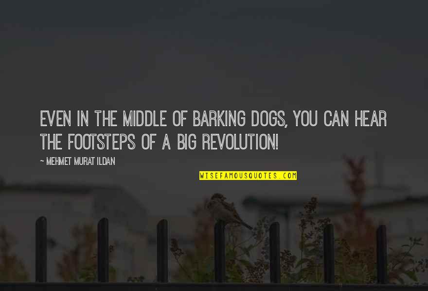 Barking Dogs Quotes By Mehmet Murat Ildan: Even in the middle of barking dogs, you