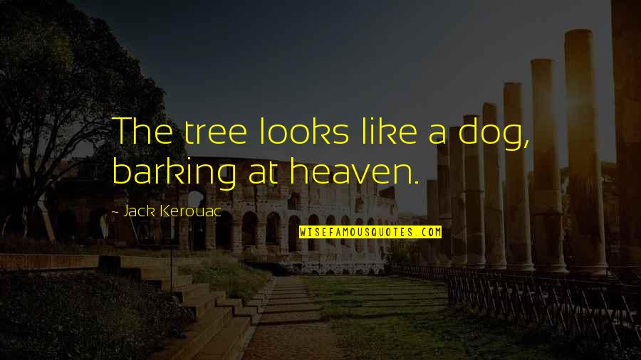 Barking Quotes By Jack Kerouac: The tree looks like a dog, barking at Barking Quotes By Jack Kerouac: The tree looks like a dog, barking at