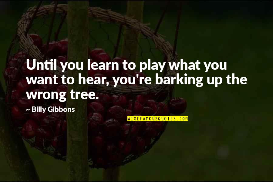 Barking Up Quotes By Billy Gibbons: Until you learn to play what you want