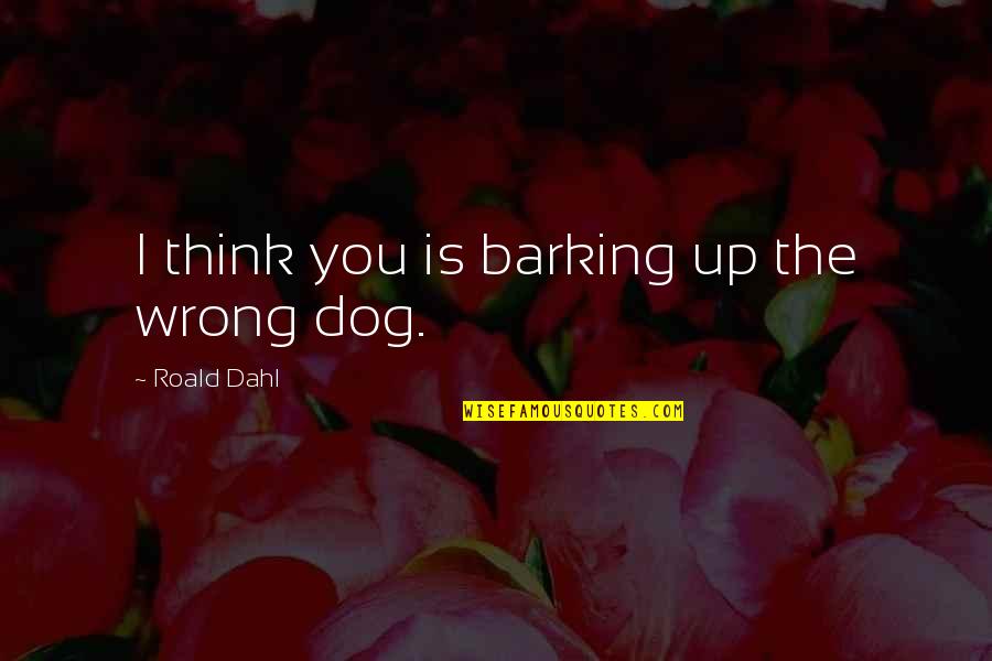 Barking Up Quotes By Roald Dahl: I think you is barking up the wrong