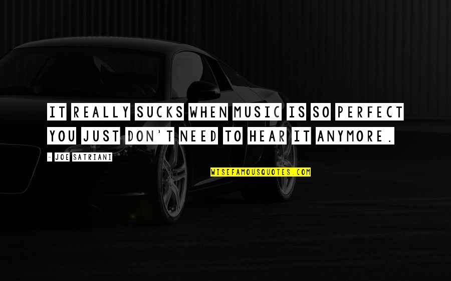 Barkmann Ernst Quotes By Joe Satriani: It really sucks when music is so perfect