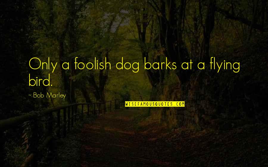 Barks By Quotes By Bob Marley: Only a foolish dog barks at a flying