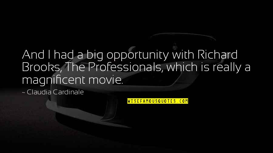 Barmans Lumber Quotes By Claudia Cardinale: And I had a big opportunity with Richard Barmans Lumber Quotes By Claudia Cardinale: And I had a big opportunity with Richard