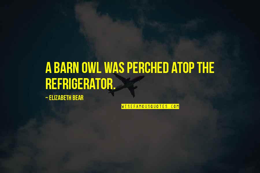 Barn Owl Quotes By Elizabeth Bear: A barn owl was perched atop the refrigerator.