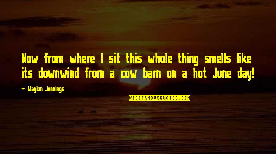 Barn Quotes By Waylon Jennings: Now from where I sit this whole thing
