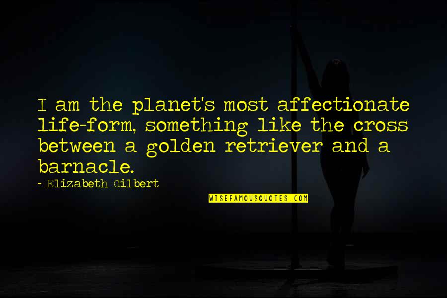 Barnacle Quotes By Elizabeth Gilbert: I am the planet's most affectionate life-form, something