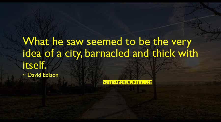 Barnacled Quotes By David Edison: What he saw seemed to be the very