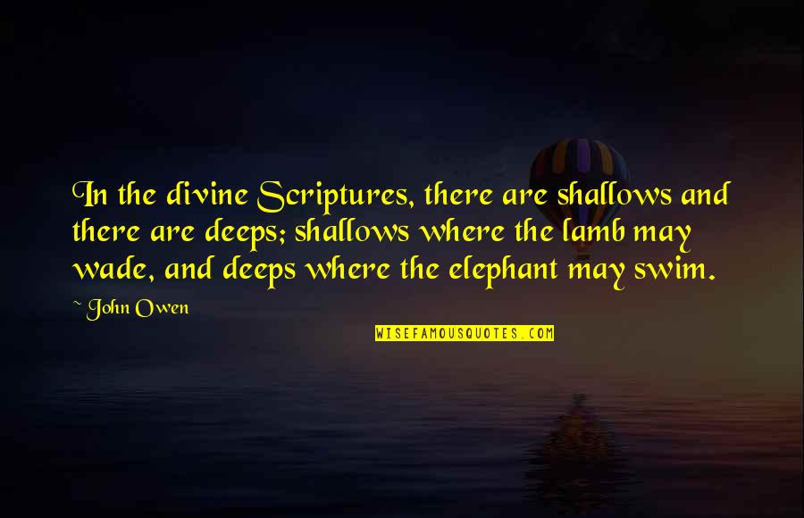 Barnardos Isle Quotes By John Owen: In the divine Scriptures, there are shallows and Barnardos Isle Quotes By John Owen: In the divine Scriptures, there are shallows and