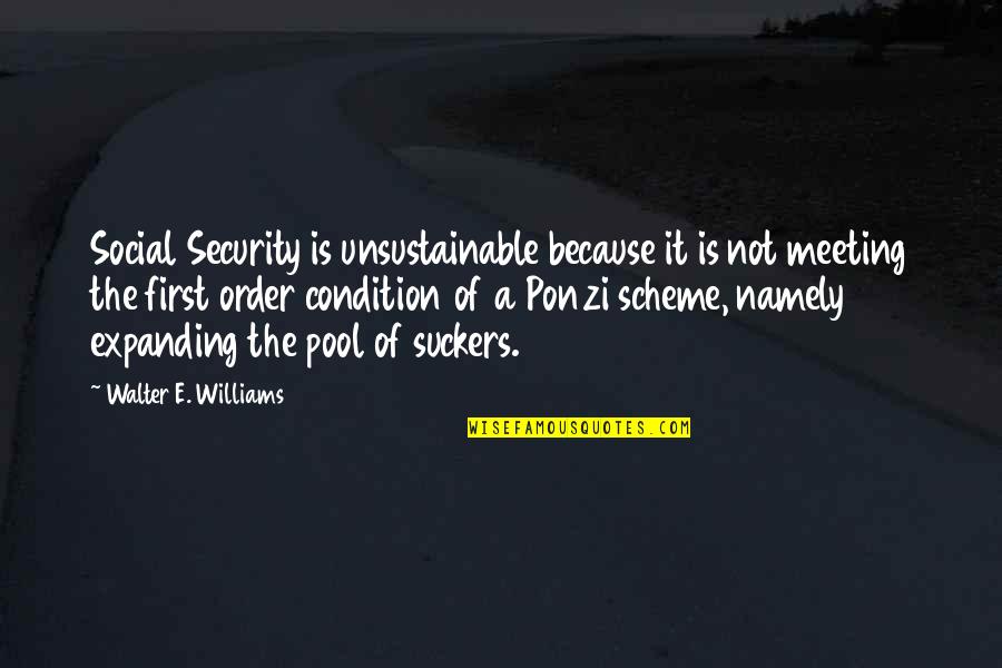 Barnitz Woods Quotes By Walter E. Williams: Social Security is unsustainable because it is not