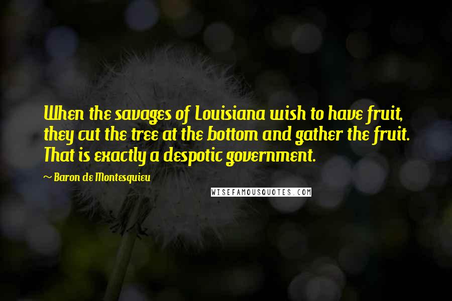 Baron De Montesquieu quotes: When the savages of Louisiana wish to have fruit, they cut the tree at the bottom and gather the fruit. That is exactly a despotic government.