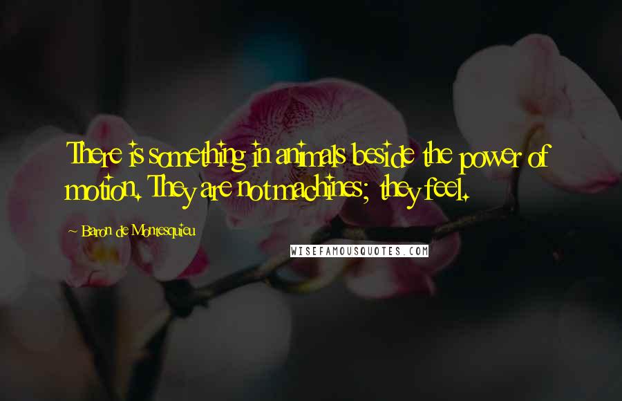Baron De Montesquieu quotes: There is something in animals beside the power of motion. They are not machines; they feel.