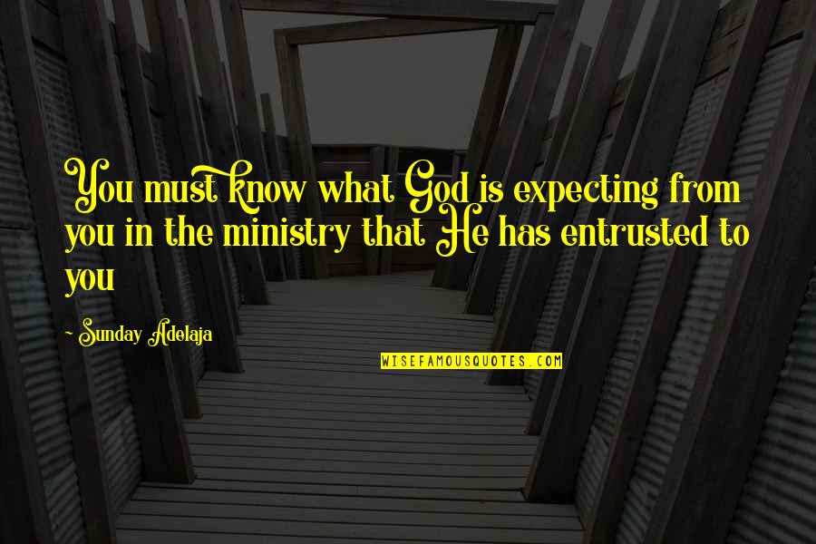 Baronette Cookies Quotes By Sunday Adelaja: You must know what God is expecting from Baronette Cookies Quotes By Sunday Adelaja: You must know what God is expecting from