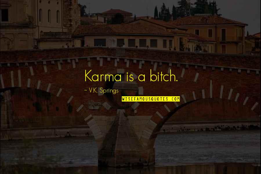 Baronini Quotes By V.K. Springs: Karma is a bitch.