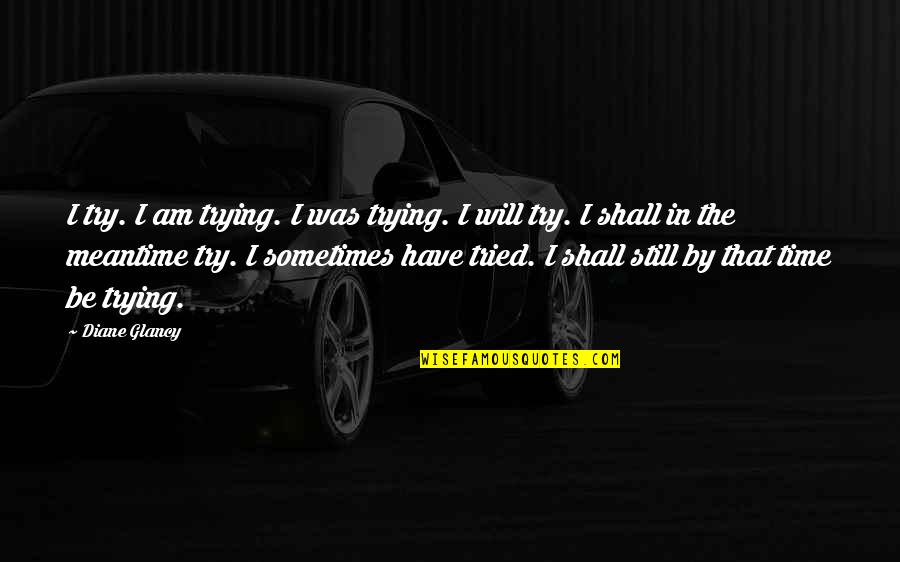 Barquinho Quotes By Diane Glancy: I try. I am trying. I was trying. Barquinho Quotes By Diane Glancy: I try. I am trying. I was trying.