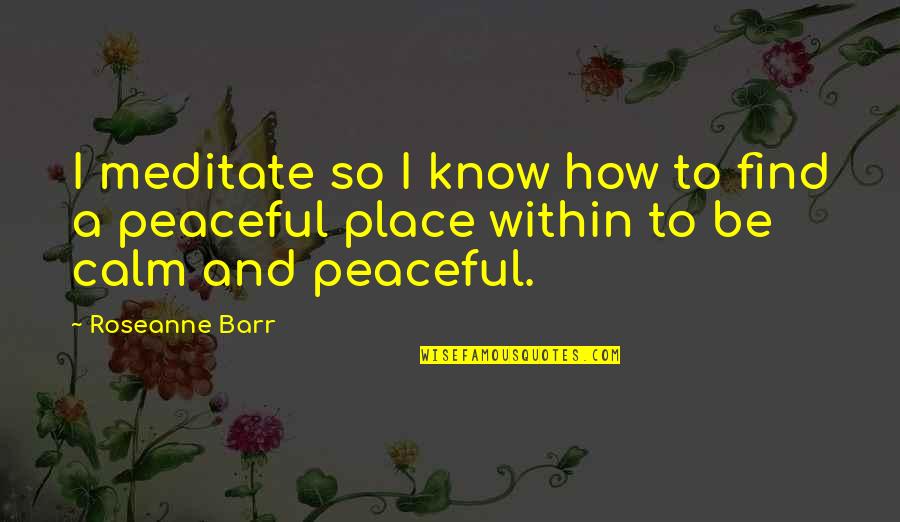 Barr Quotes By Roseanne Barr: I meditate so I know how to find