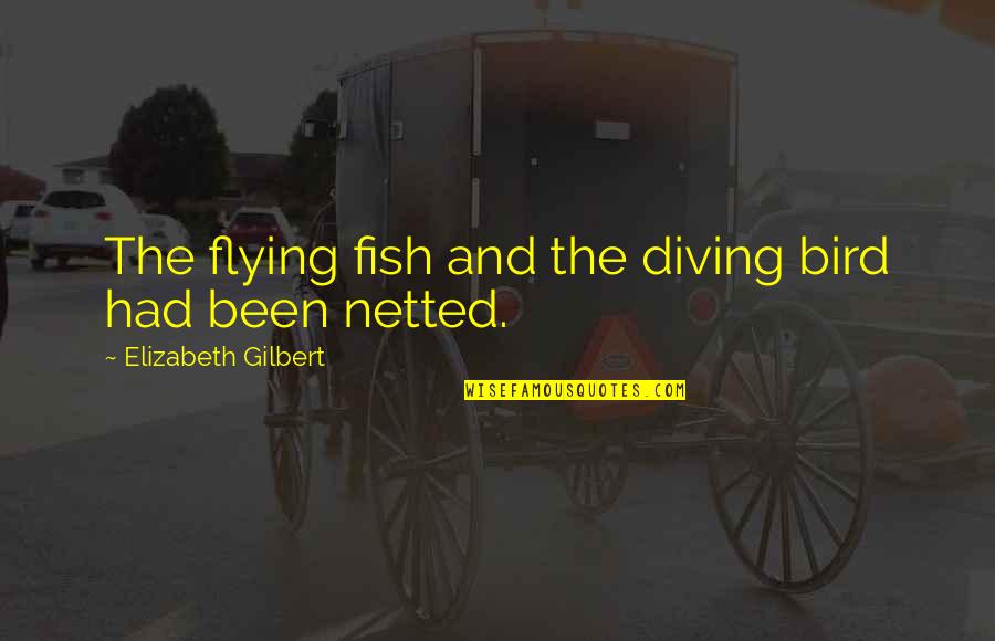 Barracus Quotes By Elizabeth Gilbert: The flying fish and the diving bird had