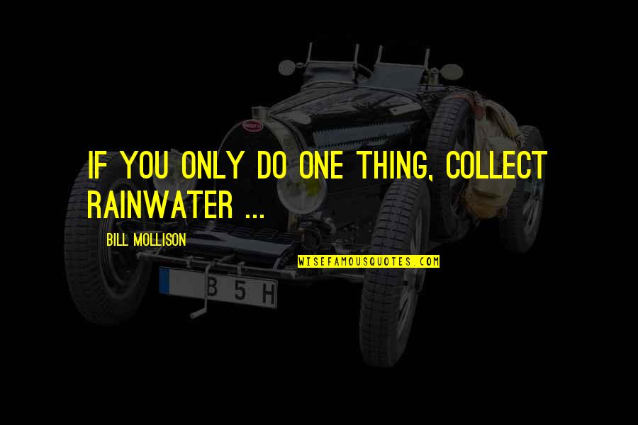 Barragans El Quotes By Bill Mollison: If you only do one thing, collect rainwater Barragans El Quotes By Bill Mollison: If you only do one thing, collect rainwater