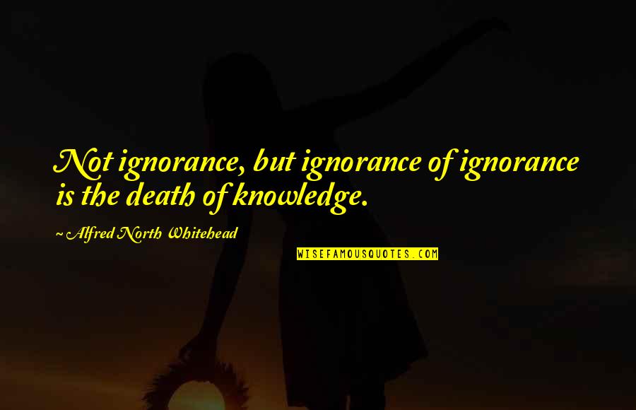 Barrancos 5ta Quotes By Alfred North Whitehead: Not ignorance, but ignorance of ignorance is the