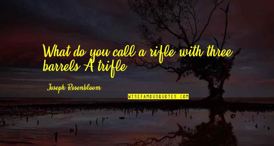 Barrels Quotes By Joseph Rosenbloom: What do you call a rifle with three