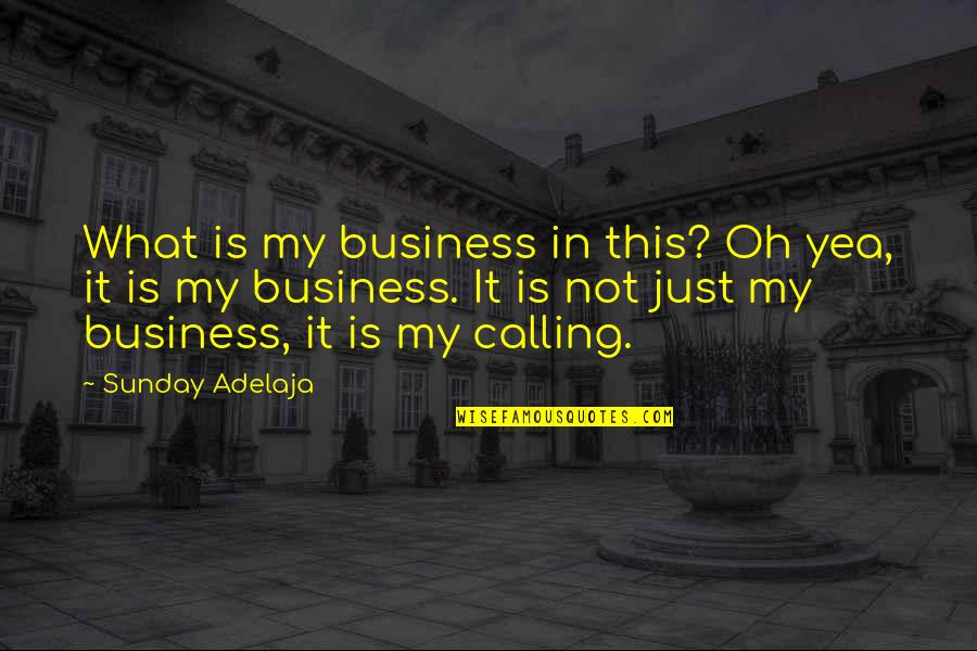 Barres De Toit Quotes By Sunday Adelaja: What is my business in this? Oh yea, Barres De Toit Quotes By Sunday Adelaja: What is my business in this? Oh yea,