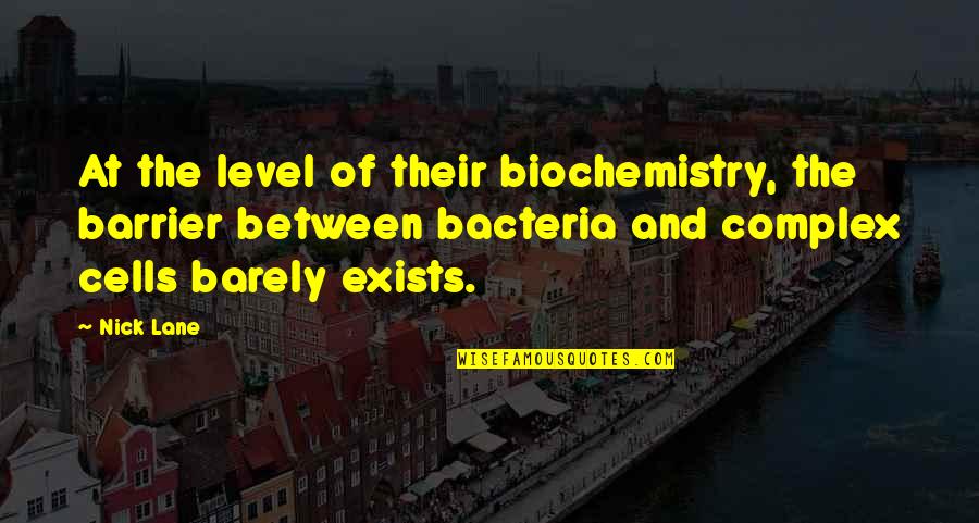 Barrier Between Us Quotes By Nick Lane: At the level of their biochemistry, the barrier